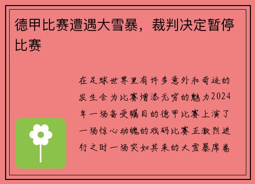 德甲比赛遭遇大雪暴，裁判决定暂停比赛